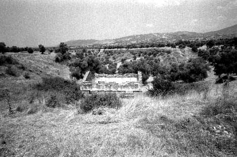 Apollonia